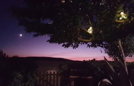 BAMBOU NATURE - Foto 9