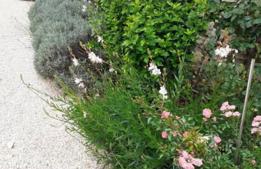 restyled bohemian mobil home la vie en rose - Foto 15