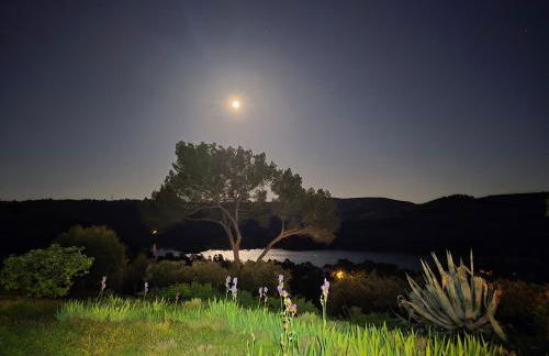 Les Oliviers Du Lac - Foto 7