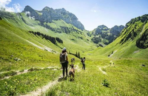 Apartment in Petit Châtel near Cable Car - Foto 16