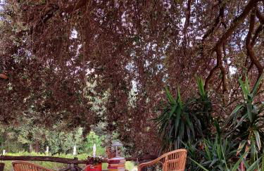 Casa Vacanze "L'Aione" - Foto 18