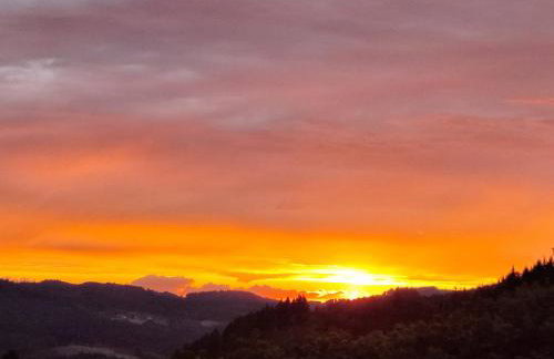 Christianshof - Photo 20