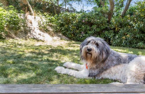 Haus Moevengrund - Foto 11