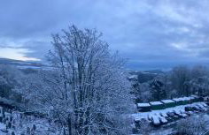 Coiners Rest - Photo 51