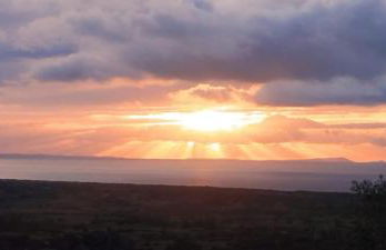 Greta's House - Foto 22