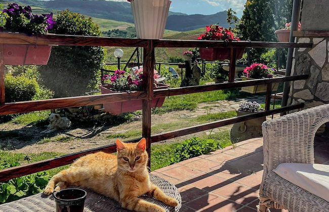 Villa Aperta Campagna - Foto 39