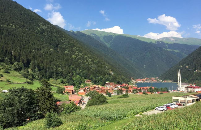 Zeren Pansiyon - Photo 49