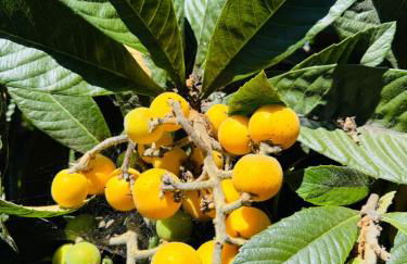 New Build House Laundry Kitchen Airconditation - Photo 13