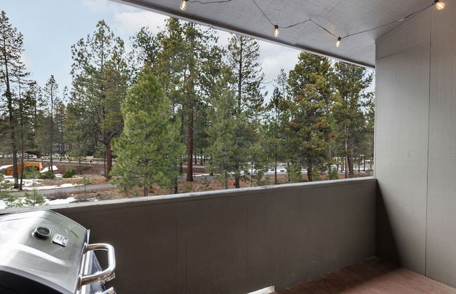 The Snuggly Otter - Foto 12