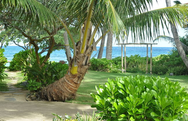 Tiki Moon Villas - Foto 36