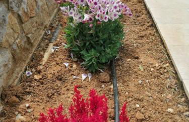 The Villa of the Winds - Foto 20