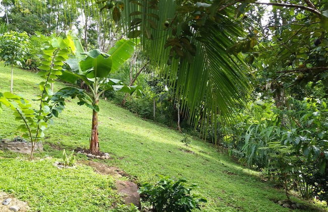 Pura Natura Lodge Arroyo - Foto 69