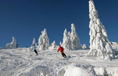 Ferienhaus in Rinchnach am Arbersee - Foto 29