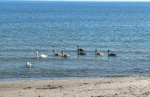 Ferienwohnung mit neuer Küche u Bad - W-LAN - Foto 13