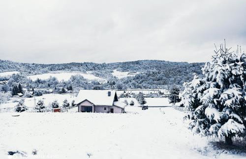 Willa Maja Bieszczady noclegi Bieszczady - Foto 54