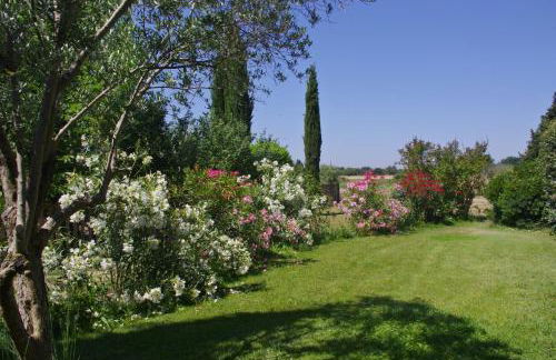 Lei Meissoun - Foto 22