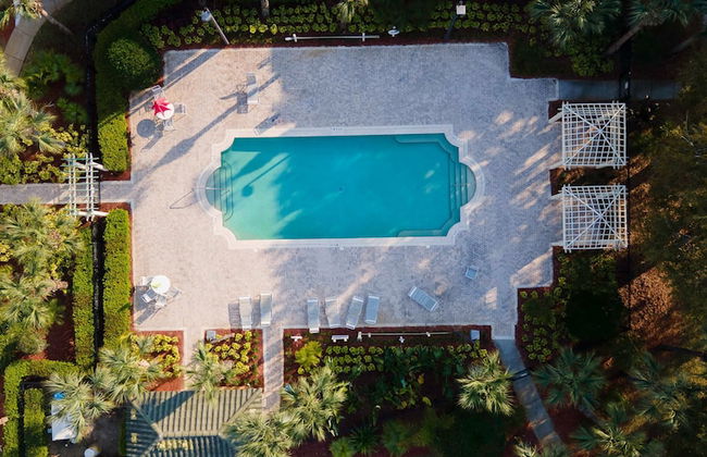 Incredible Apartment Just 15 Minutes From Disney - Foto 29