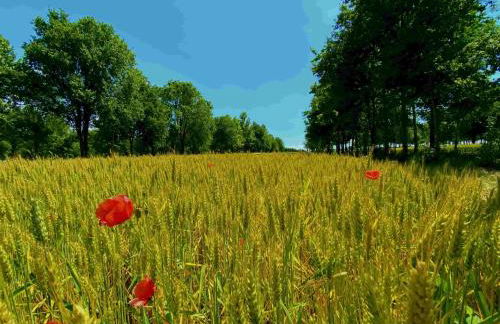 Agriturismo Fondo Gioconda - Foto 68