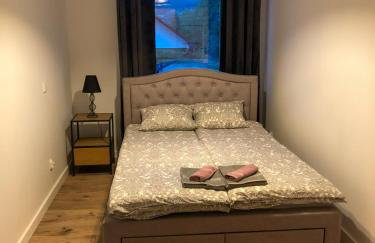Apartament całoroczny Bieszczadzka Gawra - Foto 7