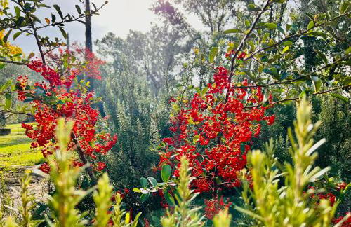 Casale Delle Querce farmhouse in Giove Umbria with pool - Foto 73
