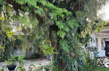 Casa da Árvore Bertioga - Photo 55