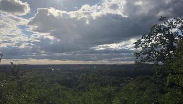 Ferienbungalow Arne am Wald - Foto 5