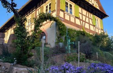 Fewos Weingut Pieper Basler - Foto 1