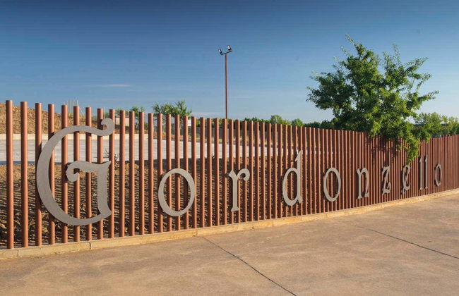 Visita à adega Gordonzello - Foto 9