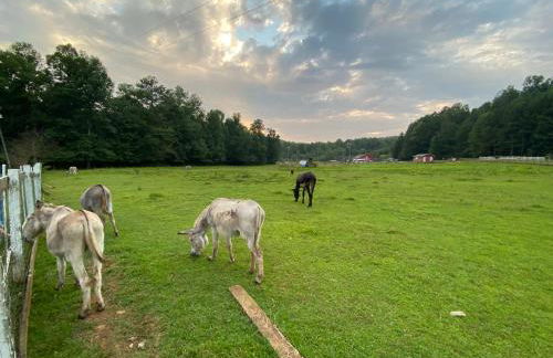 Eagle Mountain River Retreat - Foto 59