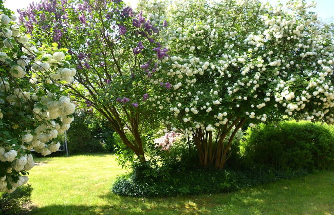 Family Retreat, Forested Anhee - Foto 31