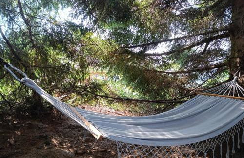 Sowi Gościniec Wellness & Breakfast - Foto 45