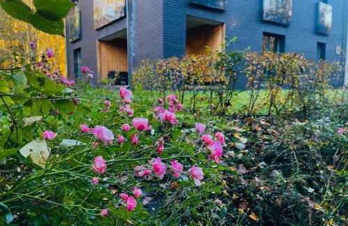 Apartament Magia Puszczy z widokiem na Puszcze Białowieska - Foto 38