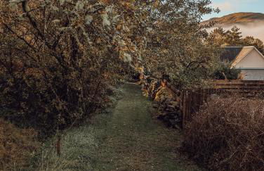 Strathyre Camping Pods - Foto 22