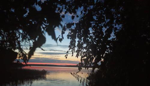 Domek w Borach Tucholskich - Wycinki - Foto 2