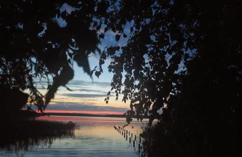 Domek w Borach Tucholskich - Wycinki - Foto 2