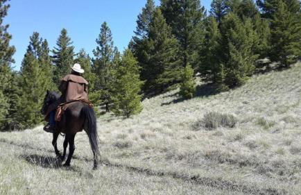 Enchanting Cabin with Beautiful Views near Glacier National Park, Montana - Foto 5