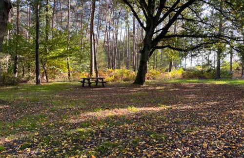 Gite LA FLEUR DE SEINE - Foto 48