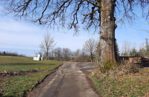 Ferienwohnung Dörflich - Foto 12