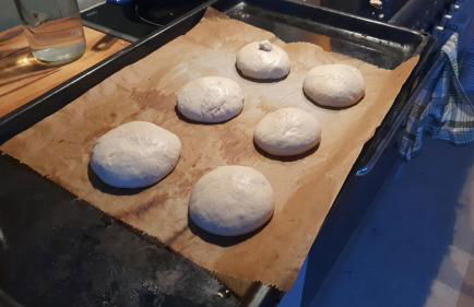 Gartenhaus Schlanstedt - Foto 18