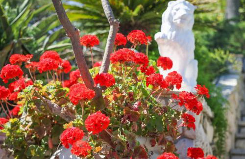 Nature Inspired Villa Designed for Wellness - Foto 92