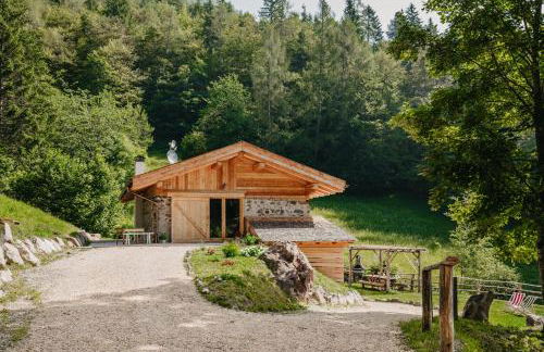 Odomi maso nel bosco - Eleganza e Relax nella Natura - Foto 2