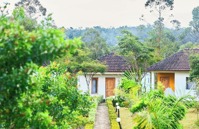 Andasibe Sifaka Lodge - Foto 43