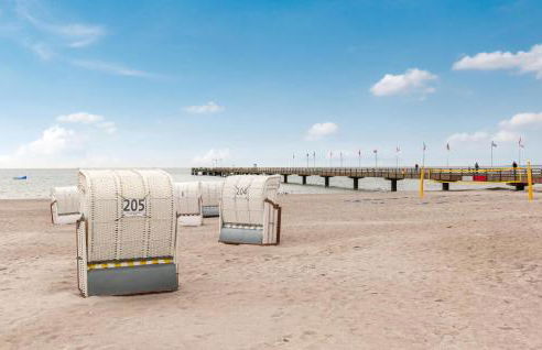 Seepferdchen - Foto 7