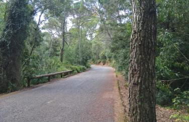 Luminoso Appartamento con Terrazza......C.U......Q2483 - Foto 15