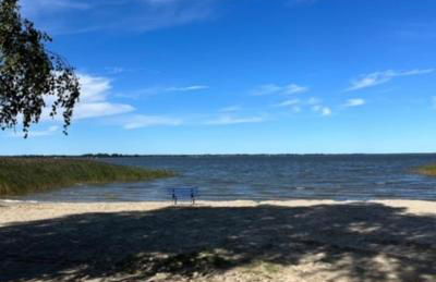 Bodden-Adler - Foto 7