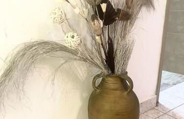 Trachos Traditional House - Foto 21