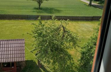 Gospodarstwo Agroturystyczne U Zdzicha - Foto 8