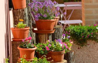 Agriturismo Arcobaleno Assisi - Photo 14