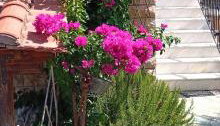 Lena's Family Home - Foto 3