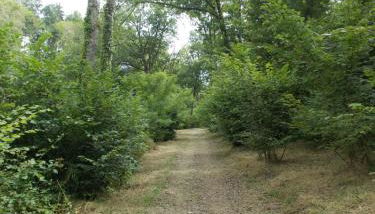 côté jardin - Foto 4